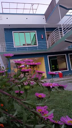 Organic Village